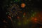 colourful fireworks in the Night Carnival at Thames Festival