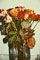 dried roses