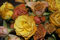 dried roses
