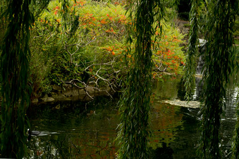 Regent's Park London October 2013
